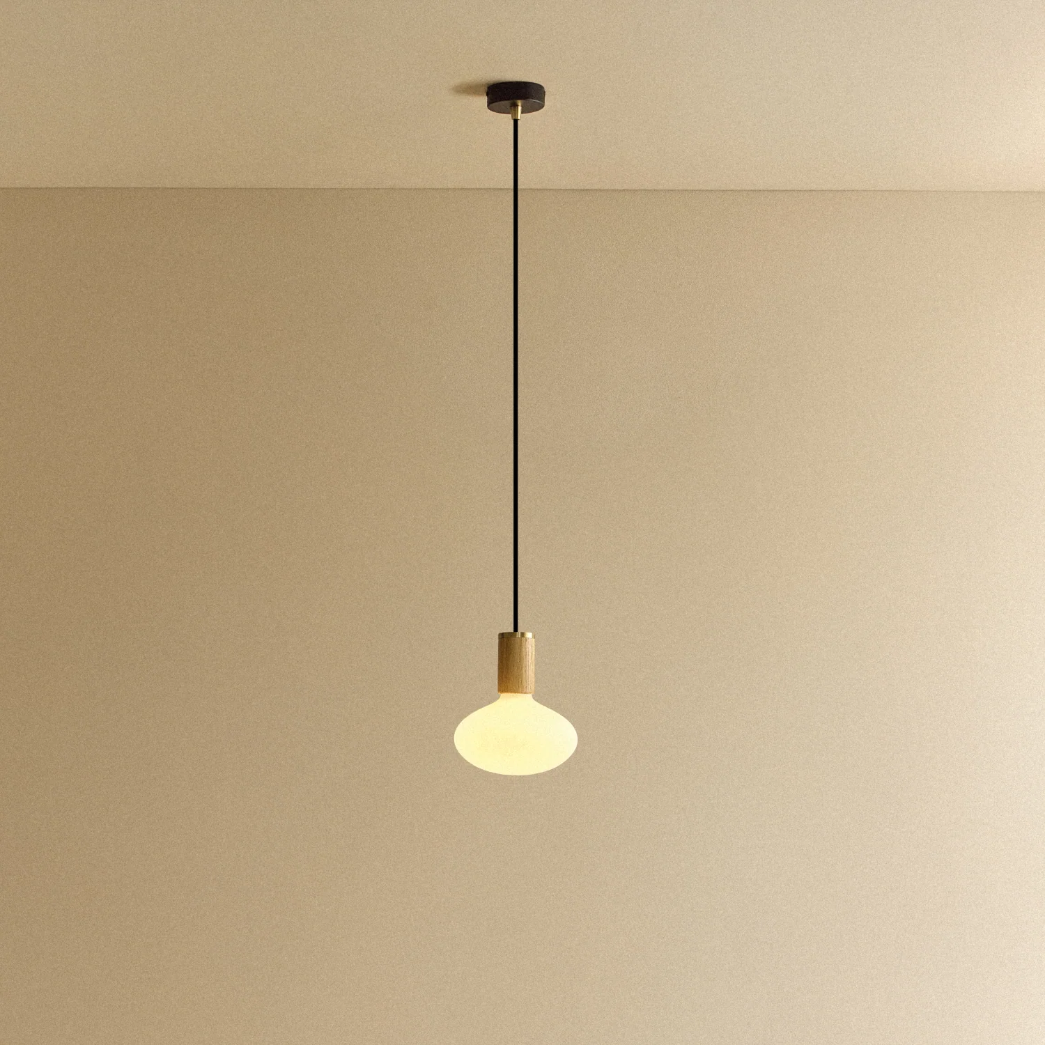 Oval Pendant Light in Oak