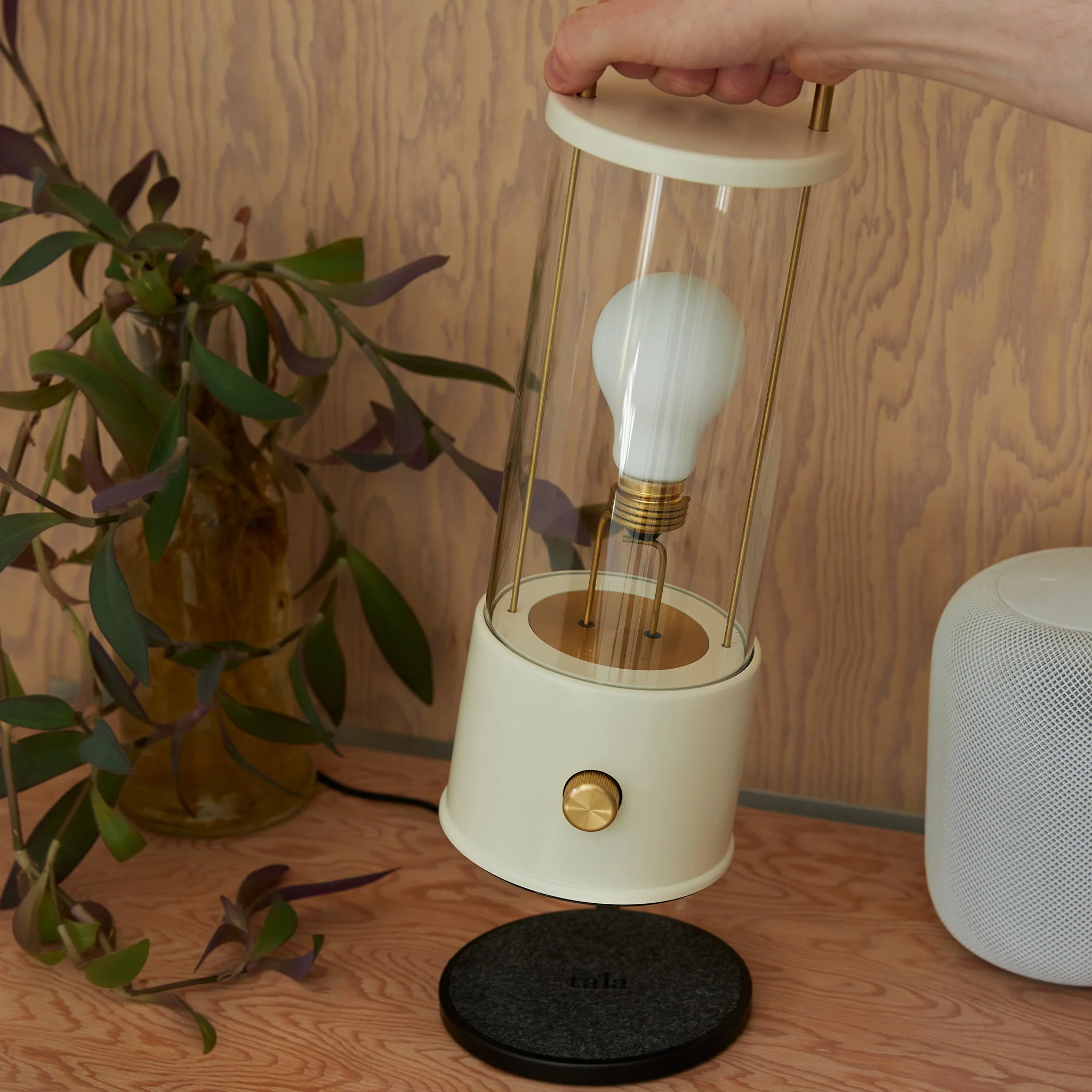 The Muse 1.0 Portable Lamp in Candlenut White Bundle - Image 3